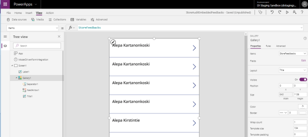 storeaudit canvas 20.png